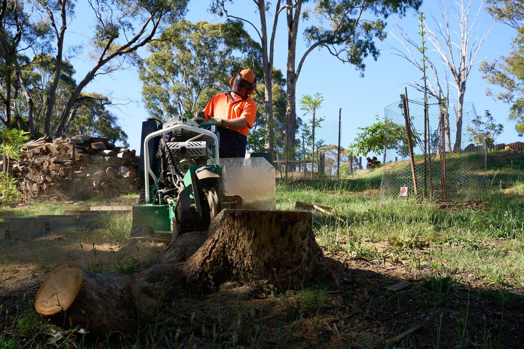 Commercial Stump Grinding Services