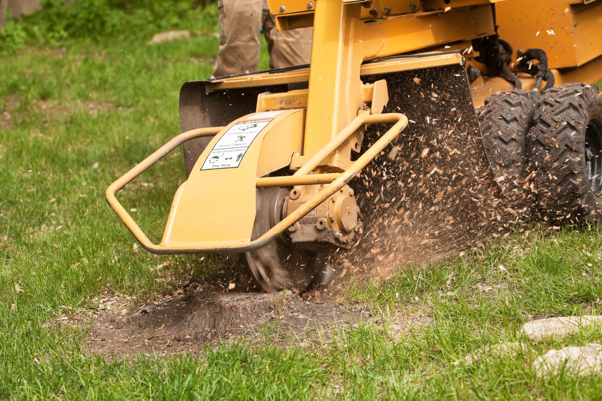 Stump Grinding Machine Removing Cut Tree