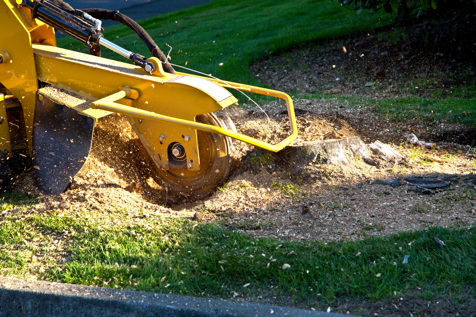 Tree Stump Grinding